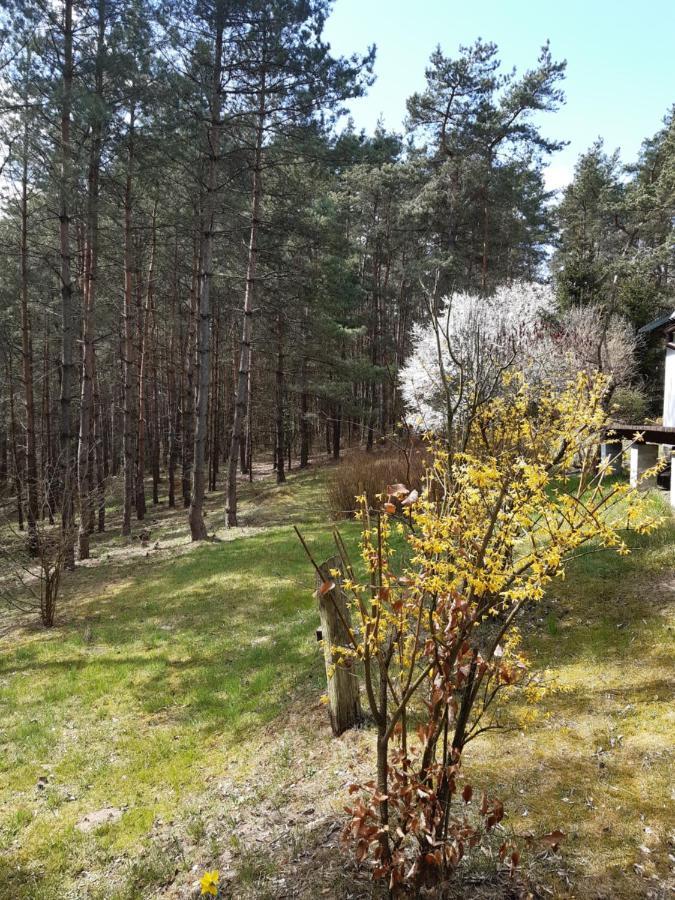 Lesna Polana Villa Gorzno  Ngoại thất bức ảnh