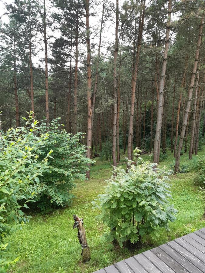 Lesna Polana Villa Gorzno  Ngoại thất bức ảnh