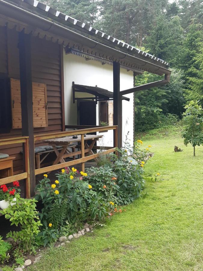 Lesna Polana Villa Gorzno  Ngoại thất bức ảnh