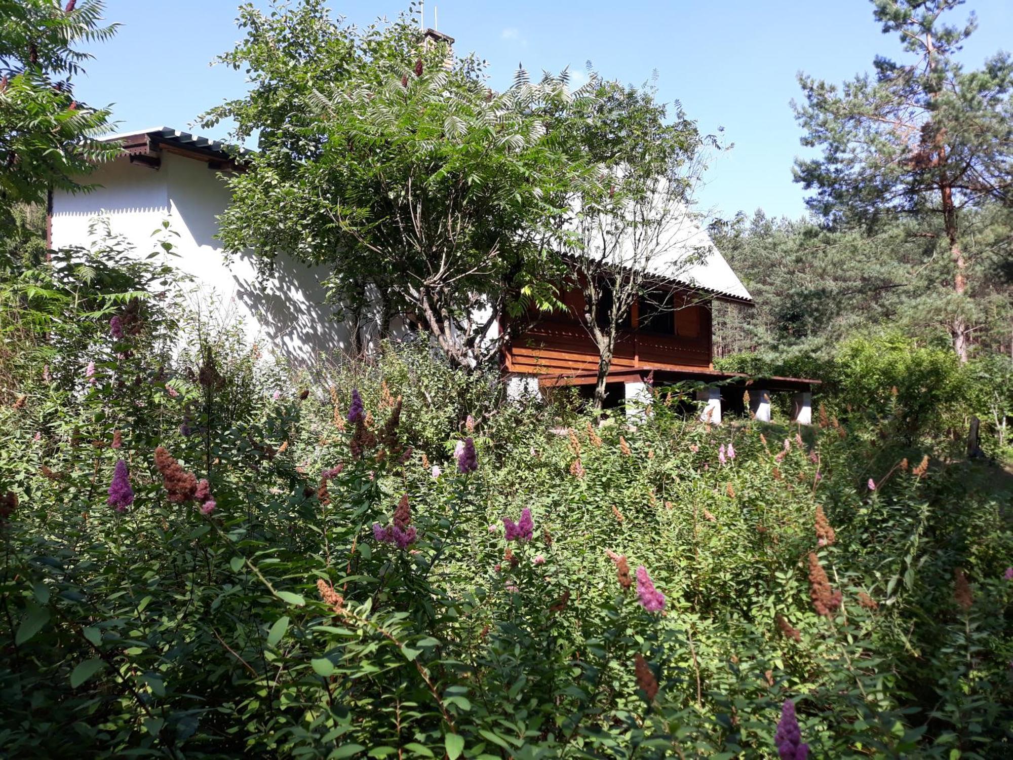 Lesna Polana Villa Gorzno  Ngoại thất bức ảnh
