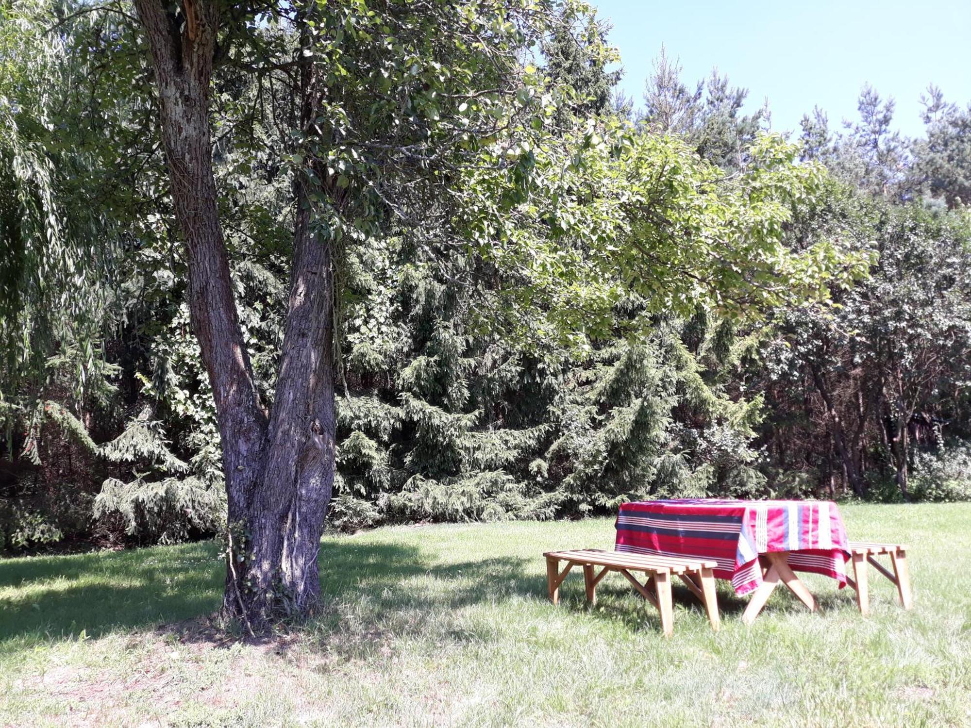 Lesna Polana Villa Gorzno  Ngoại thất bức ảnh